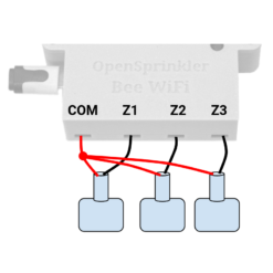 Osbee Connection